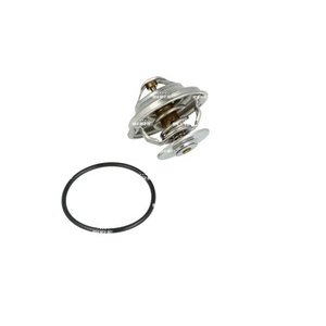 TERMOSTAT 79C - TGA,TGL,TGM,TGS,TGX  2000--