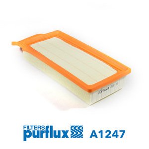 FILTER VAZDUHA - C2/C3/P-206, 307 1.4HDi