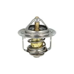 TERMOSTAT 89C - ASTRA G/H 1.7CDTI 00-